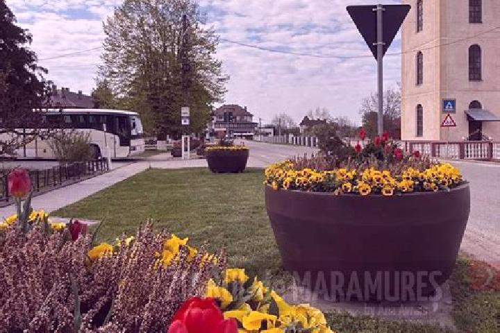 Nova, 25 — Escort in Miresu Mare, Romania