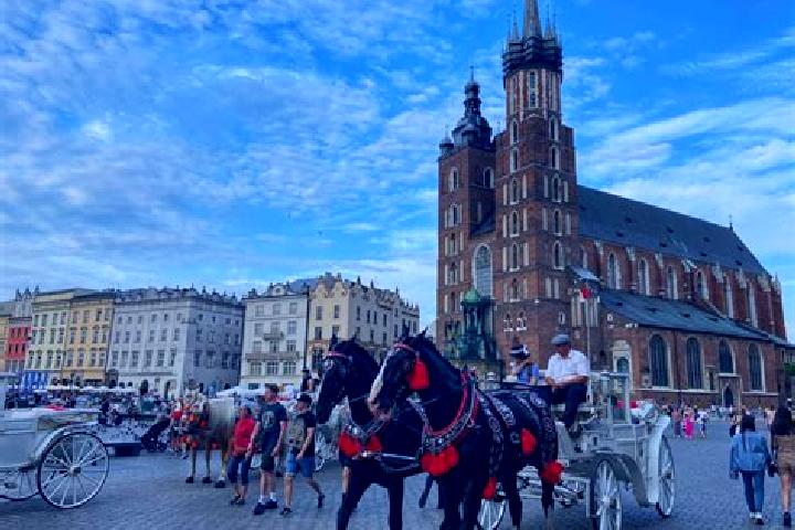 Nova, 25 — Escort in Ogrodzona, Poland