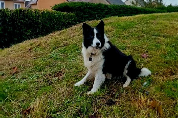 Nova, 25 — Escort in Presilly, France