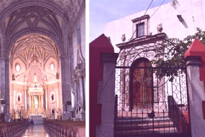 Nova, 25 — Escort in San Antonio de Romerillo, Mexico