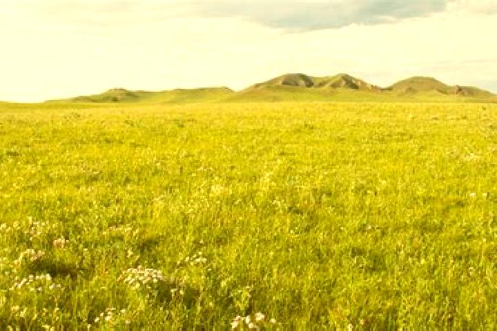 Nova, 25 — Escort in Selenge, Mongolia