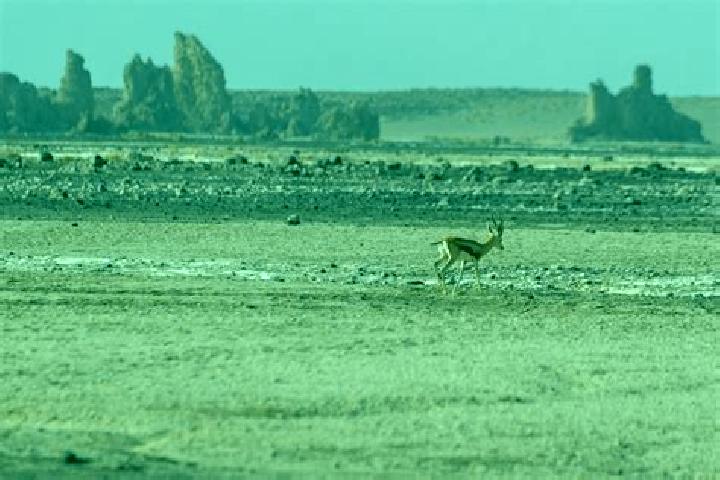 Nova, 25 — Escort in Yoboki, Djibouti