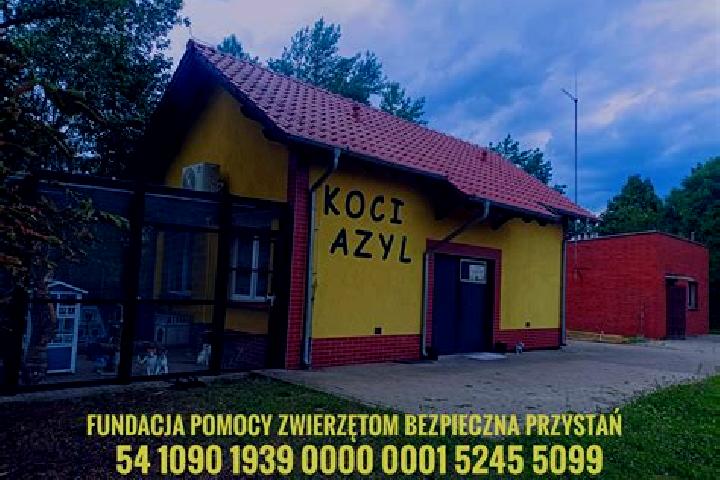 Nova, 25 — Escort in Zalesie, Poland