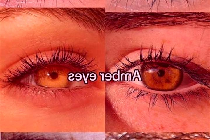 Nova, 26, a brunette amber-eyed mixed companion based in Pocao de Pedras. Offering Overnight, Prostate Massage, Tantra, Duos, Fetish. Available for incall an...