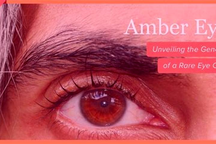 Nova, 26, a red amber-eyed latina companion based in Plaza Nueva. Offering Overnight, CIM, A-Level. Available for incall and outcall, day and evening dates.