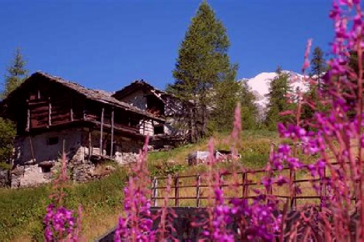 Nova, 26 — Escort in Alagna Valsesia, Italy
