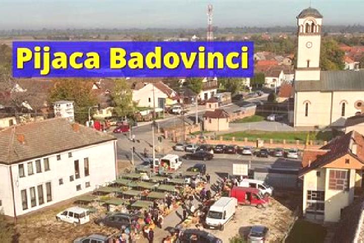 Nova, 26 — Escort in Badovinci, Serbia