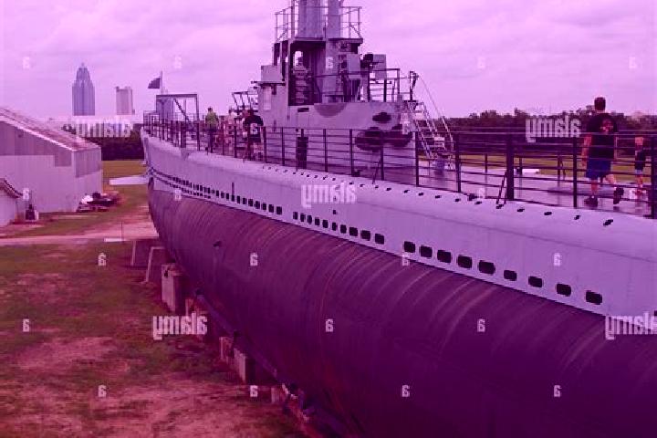 Nova, 26 — Escort in Conning Towers-Nautilus Park, United States