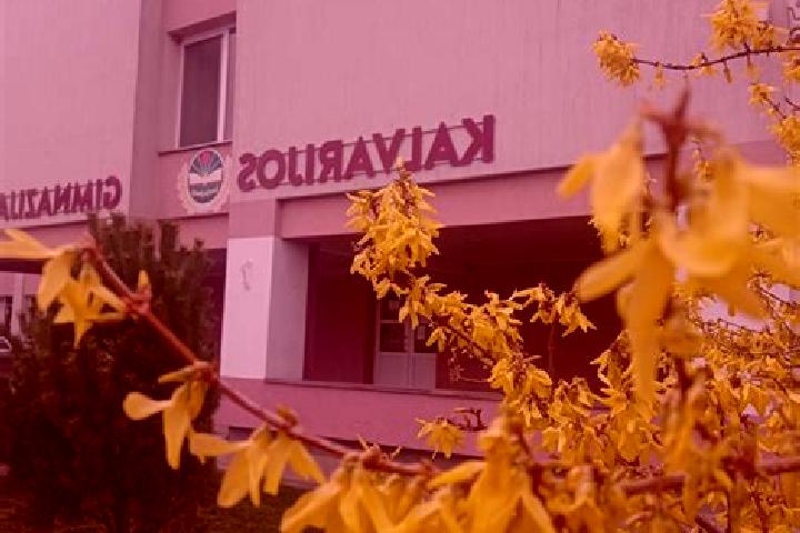 Nova, 26 — Escort in Kalvarija, Lithuania