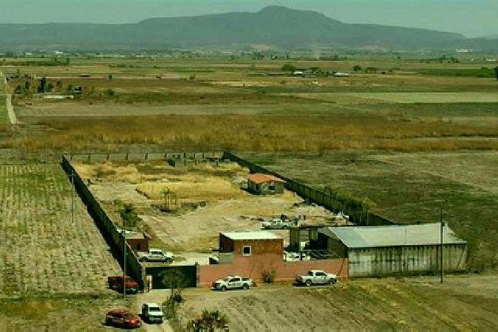 Nova, 26 — Escort in Santa Gertrudis Salitrillo, Mexico
