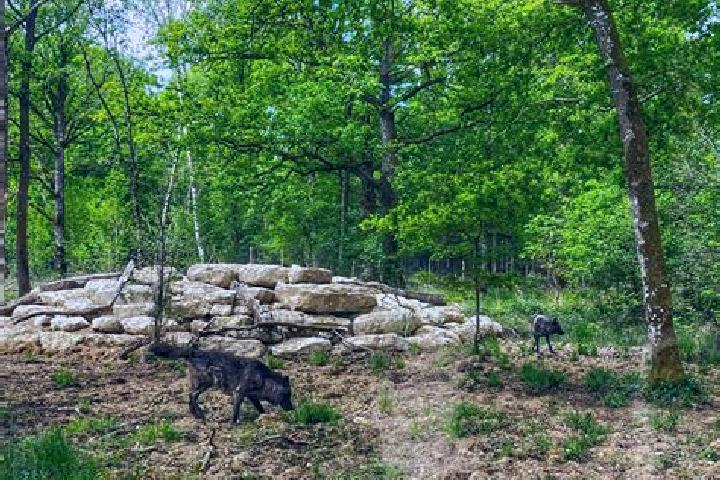 Nova, 26 — Escort in Seuil-d Argonne, France