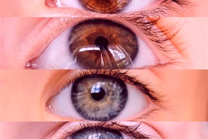 Nova, 27, a chestnut grey-eyed middle eastern companion based in Grosspaschleben. Offering CIM, Couples, Party Girl. Available for incall and outcall, overni...