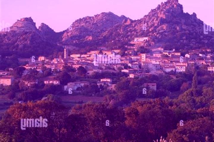 Nova, 27 — Escort in Aggius, Italy