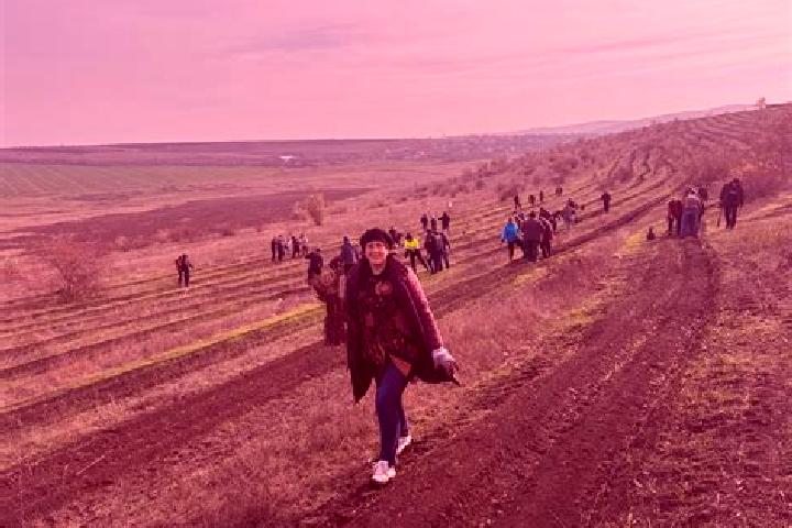 Nova, 27 — Escort in Balasesti, Romania