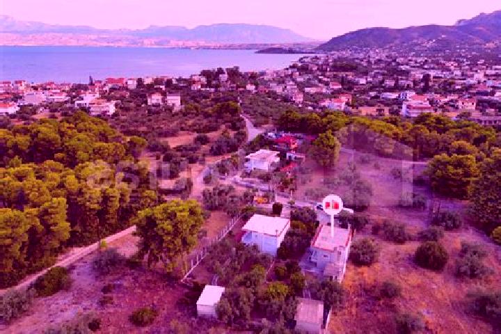 Nova, 27 — Escort in Kato Almyri, Greece
