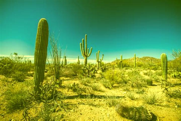 Nova, 27 — Escort in Mezquite Mata del Tigre, Mexico