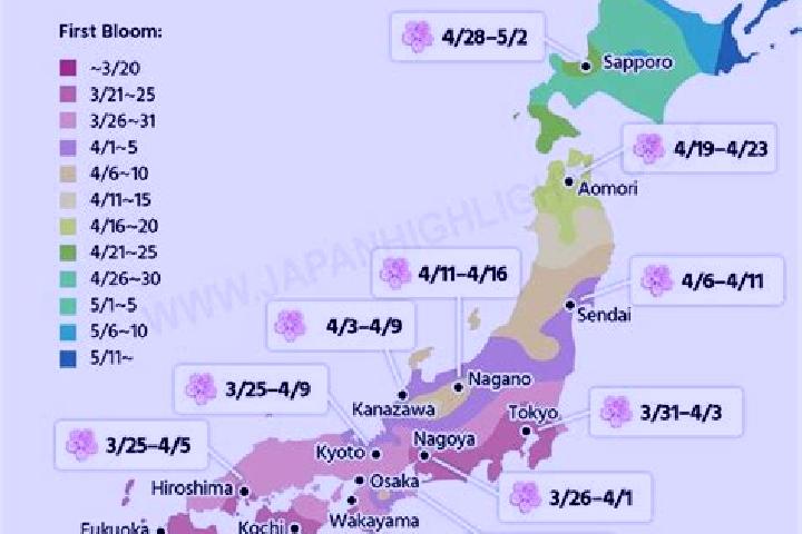 Nova, 27 — Escort in Muramatsu, Japan