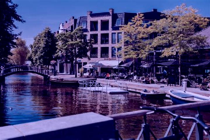 Nova, 27 — Escort in Nieuw-Beijerland, Netherlands