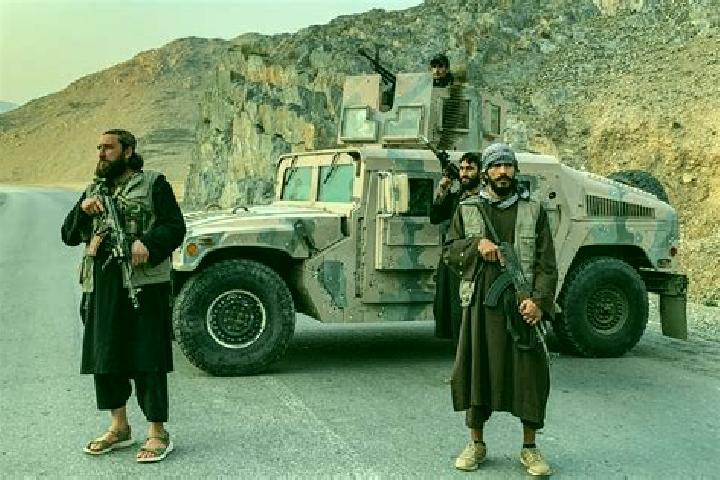 Nova, 27 — Escort in Nusay, Afghanistan