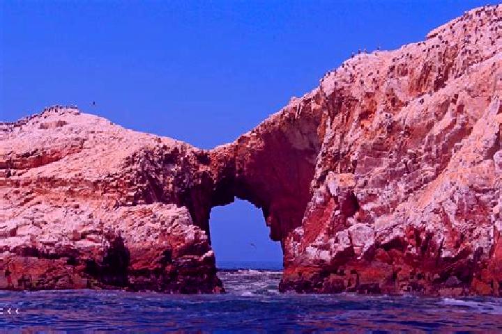 Nova, 27 — Escort in Paracas, Peru