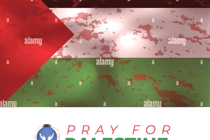 Nova, 27 — Escort in Qirah, Palestine