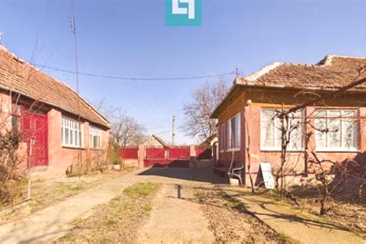 Nova, 27 — Escort in Secusigiu, Romania