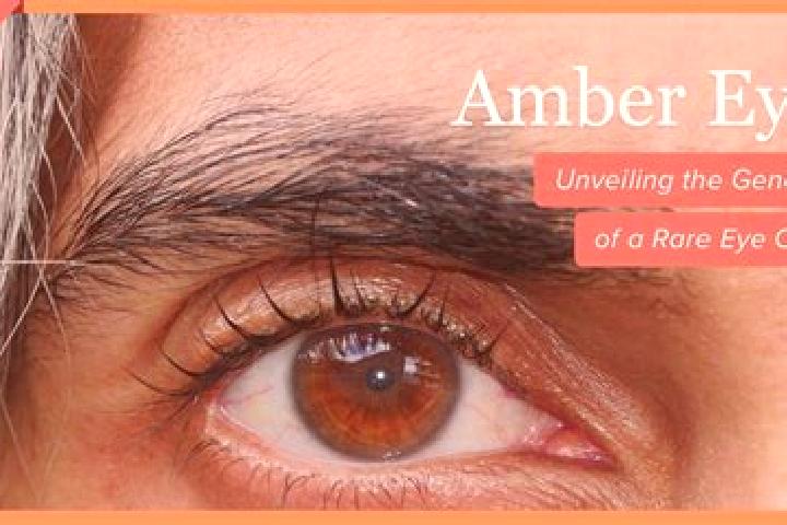 Nova, 28, a red amber-eyed mixed companion based in Rioverde. Offering Overnight, Domination, 69, BDSM. Available for incall and outcall, overnight bookings ...