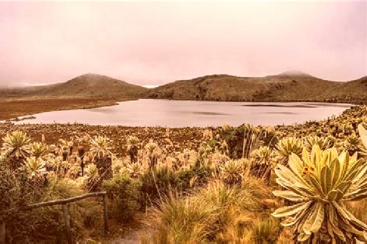 Nova, 28 — Escort in El Angel, Ecuador