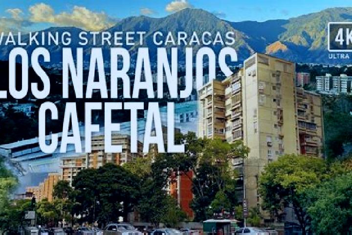 Nova, 28 — Escort in El Cafetal, Venezuela