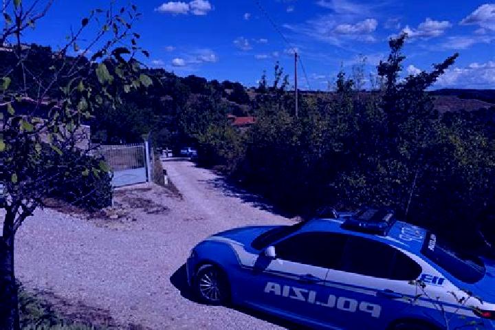 Nova, 28 — Escort in Fratticiola Selvatica, Italy