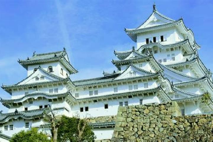 Nova, 28 — Escort in Himeji, Japan