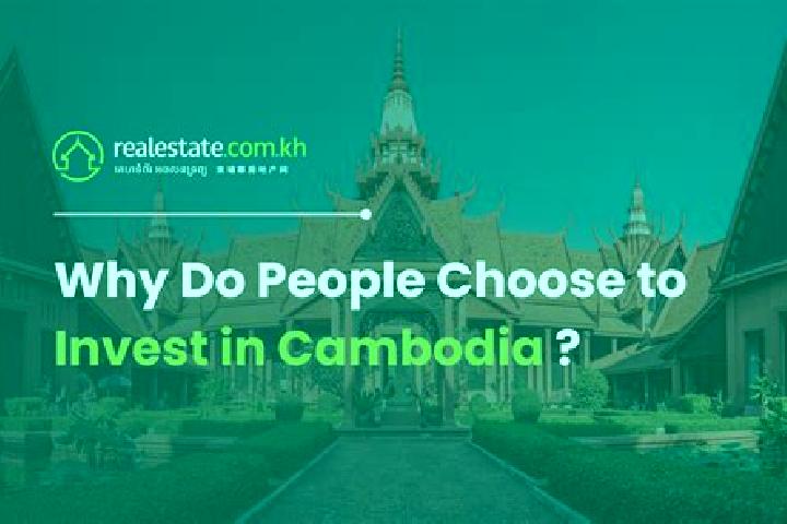 Nova, 28 — Escort in Kampong Damrei, Cambodia