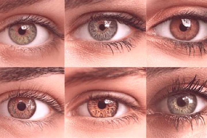 Nova, 29, a auburn hazel-eyed caribbean companion based in Vellavadanparappu. Offering A-Level, Duos, Overnight, Deep French Kissing, 69. Available for incal...