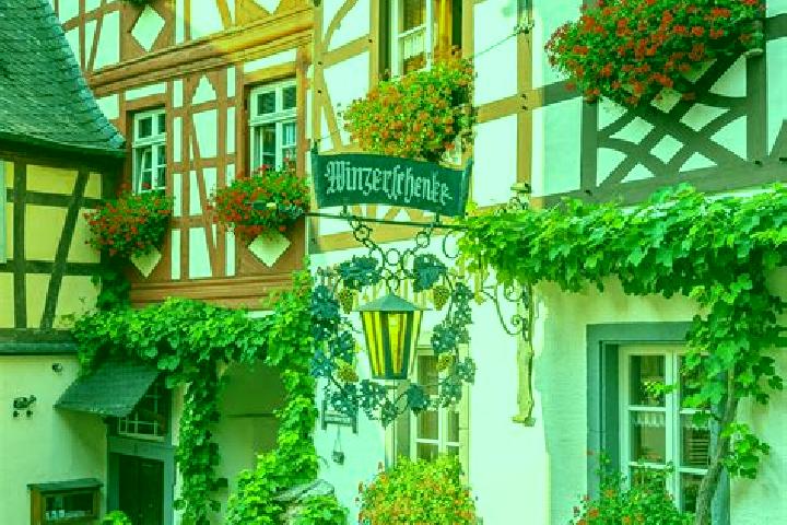Nova, 29 — Escort in Ahrenviolfeld, Germany