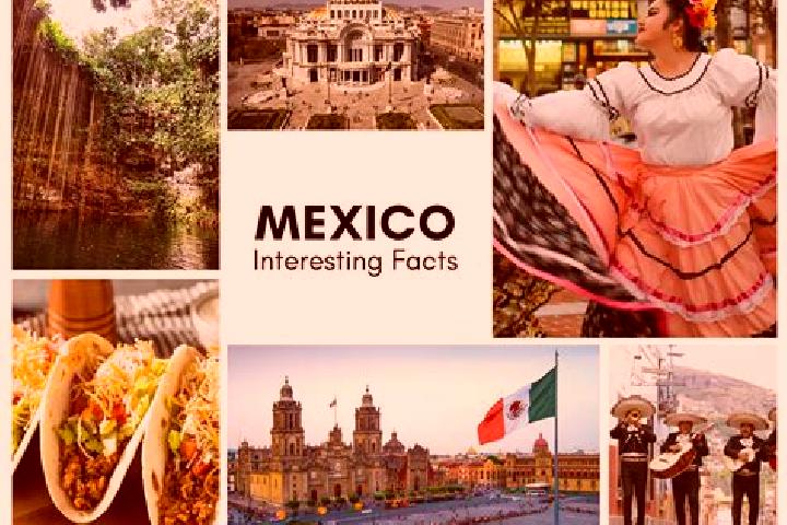 Nova, 29 — Escort in Cocotitlan, Mexico