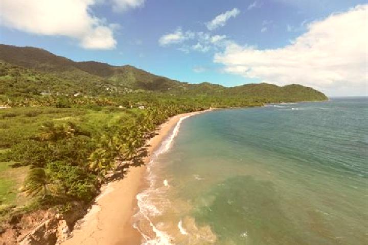 Nova, 29 — Escort in Emajagua, Puerto Rico