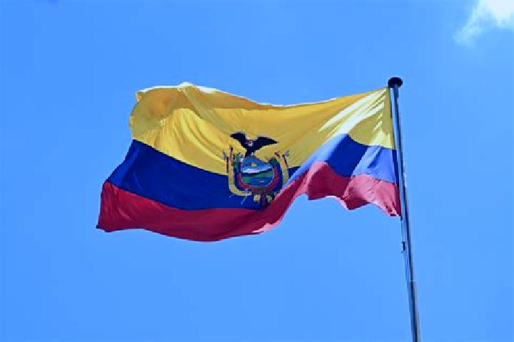 Nova, 29 — Escort in Las Mercedes, Ecuador