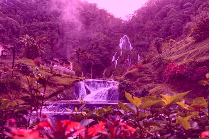 Nova, 29 — Escort in Santa Rosa de Cabal, Colombia