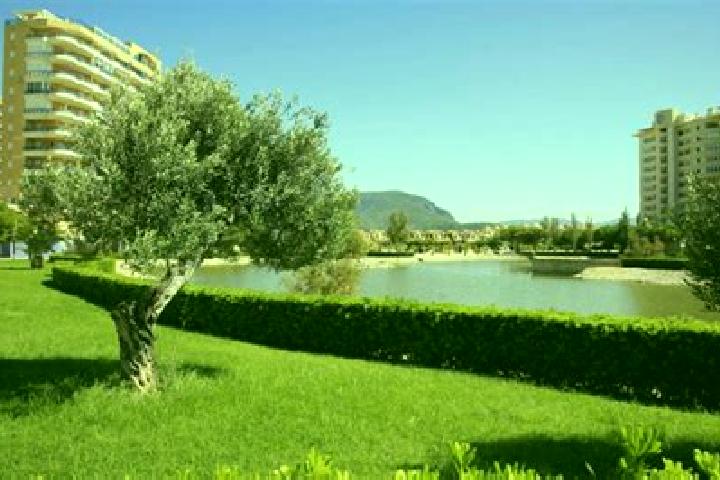 Nova, 29 — Escort in Tavernes de la Valldigna, Spain