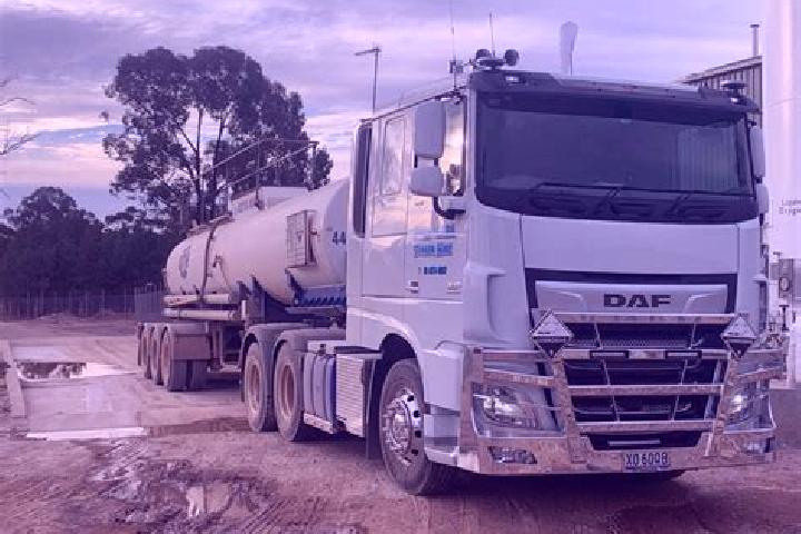 Nova, 29 — Escort in Unanderra, Australia