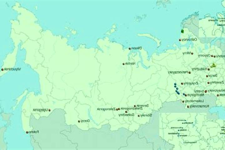 Nova, 29 — Escort in Volchikha, Russia