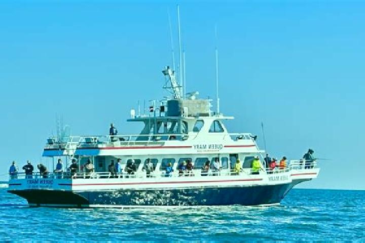 Nova, 29 — Escort in Voyager Point, Australia