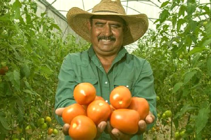 Nova, 30 — Escort in Agronomos Mexicanos, Mexico