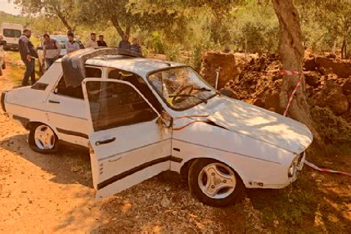 Nova, 30 — Escort in Eskikabasakal, Turkey