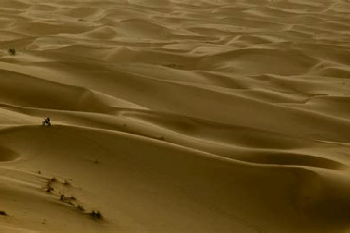 Nova, 30 — Escort in Lemsid, Western Sahara