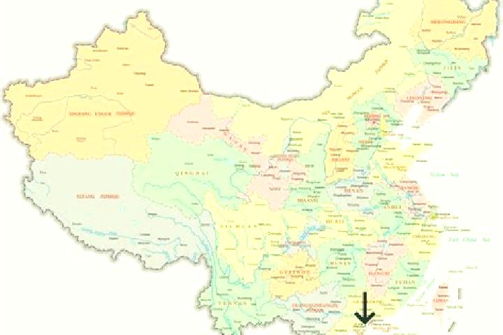 Nova, 30 — Escort in Qianwu, China