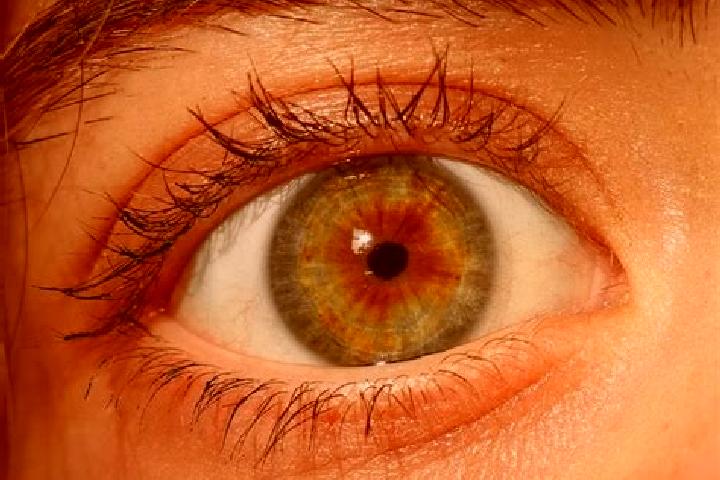 Nova, 31, a red hazel-eyed european companion based in Darlington. Offering Girlfriend Experience, Massage, Dinner Date. Available for incall and outcall, da...