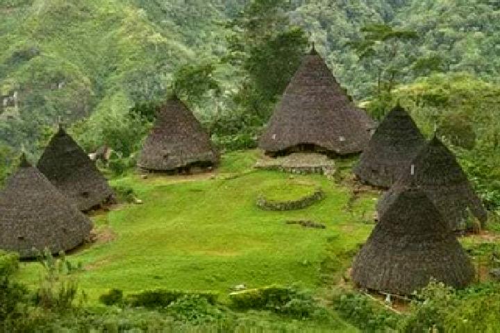 Nova, 31 — Escort in Atambua, Indonesia