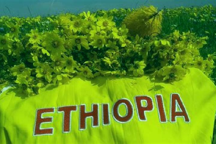 Nova, 31 — Escort in Himora, Eritrea