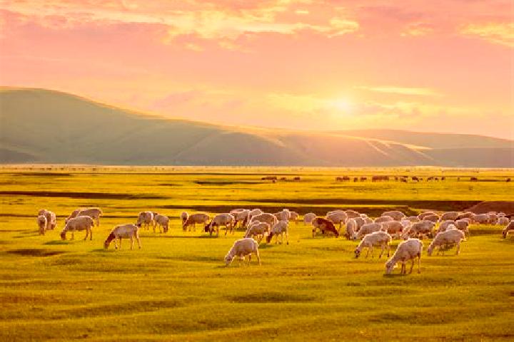 Nova, 31 — Escort in Ihbulag, Mongolia